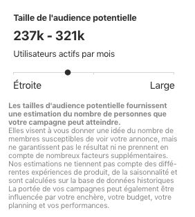 AgneceSW-Campagne-Publicitaire-Pinterest-estimation-audience